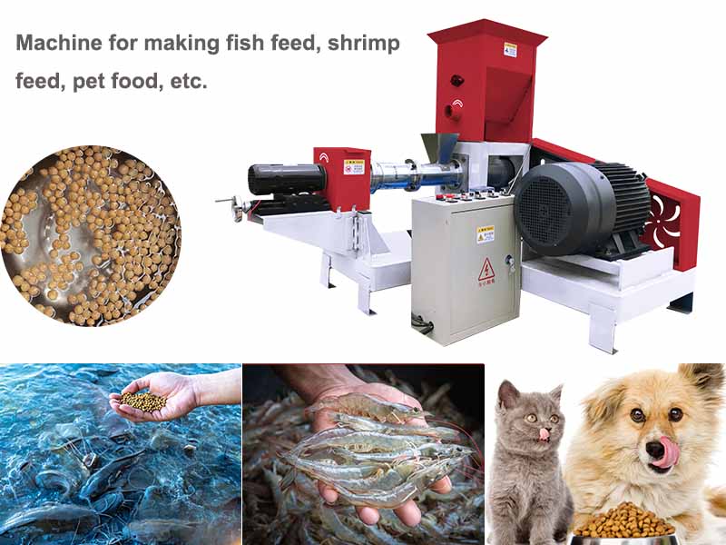 fish feed making machine