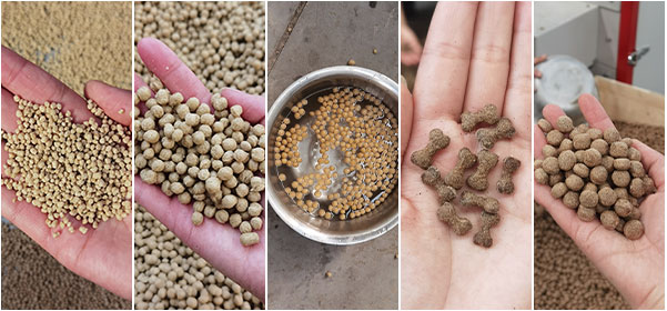 How to Make Fish Feed Pellet