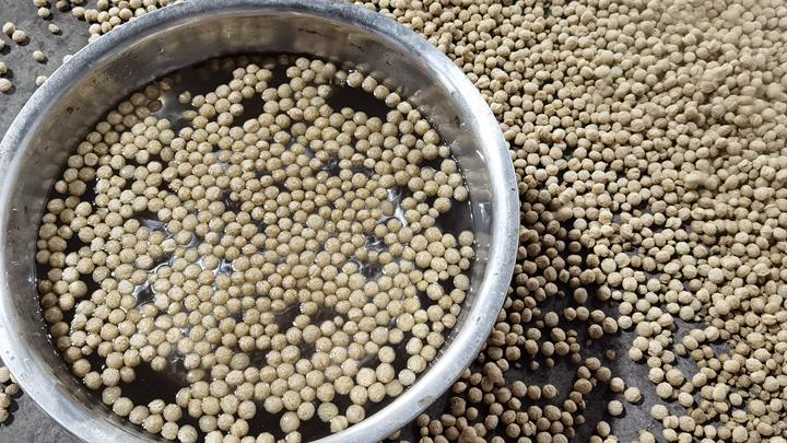 Overview of Floating Fish Feed Pellet Production in Nigeria