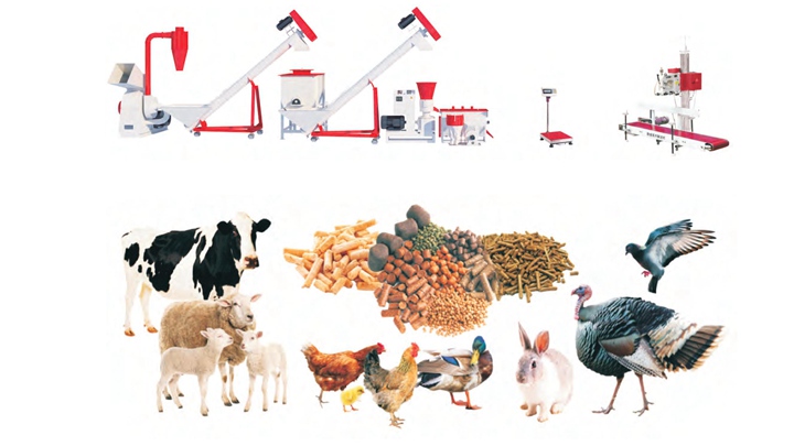 How to Start a Poultry Feed Mill Plant