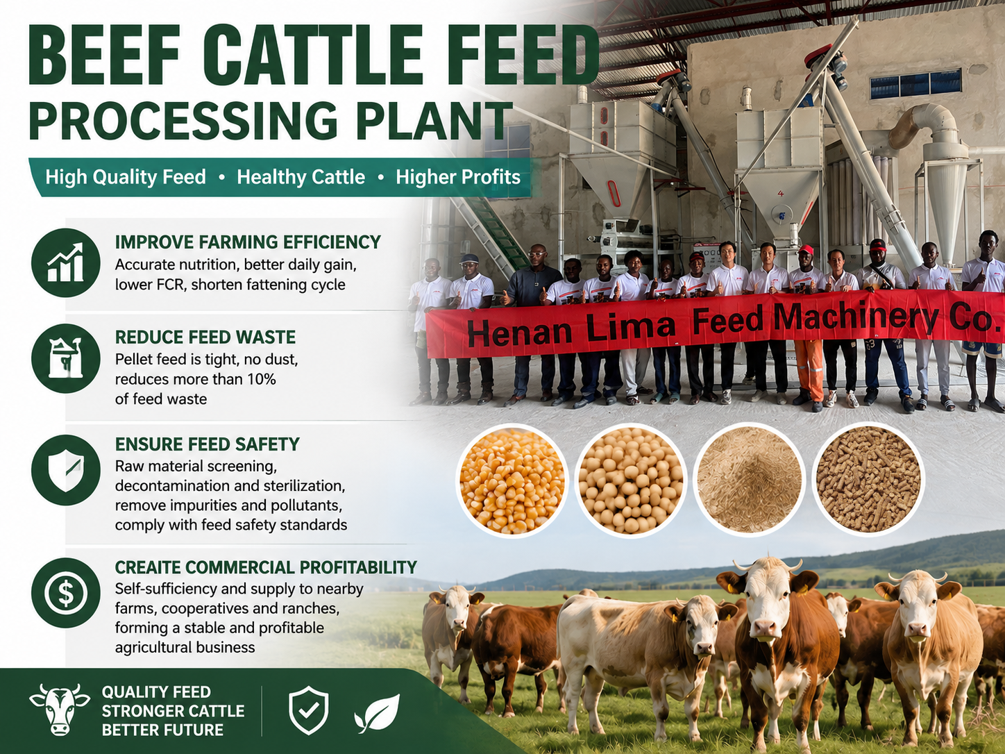 cattle feed processing plant
