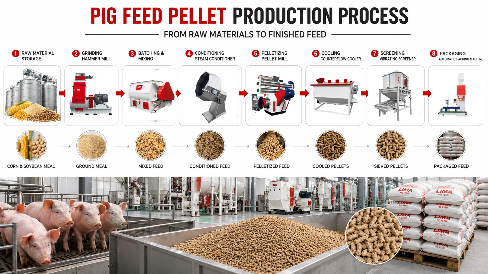Animal Feed Production Process