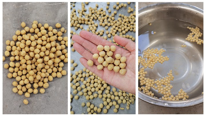 fish feed pellet