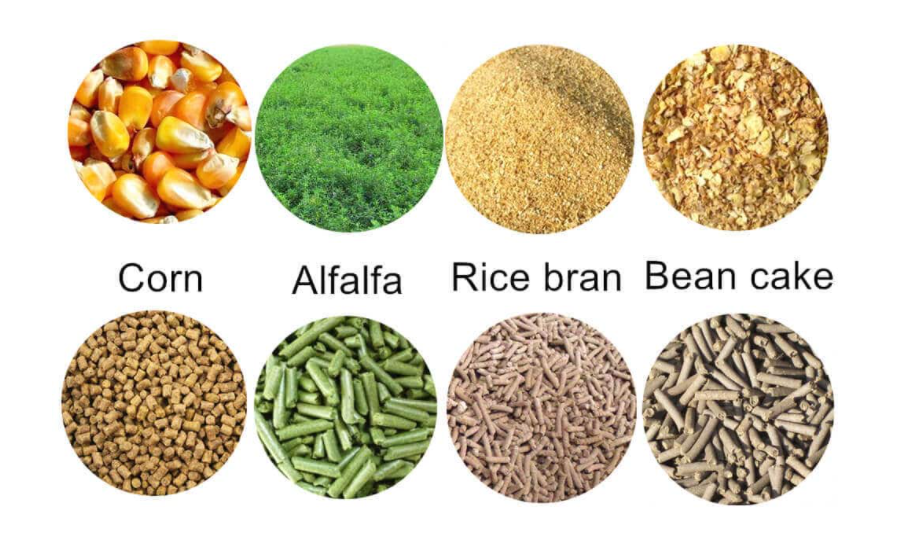 feedmaterial