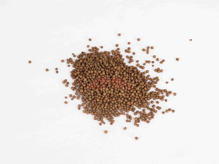 A Comprehensive Practical Guide to Producing Shrimp Feed Pellets