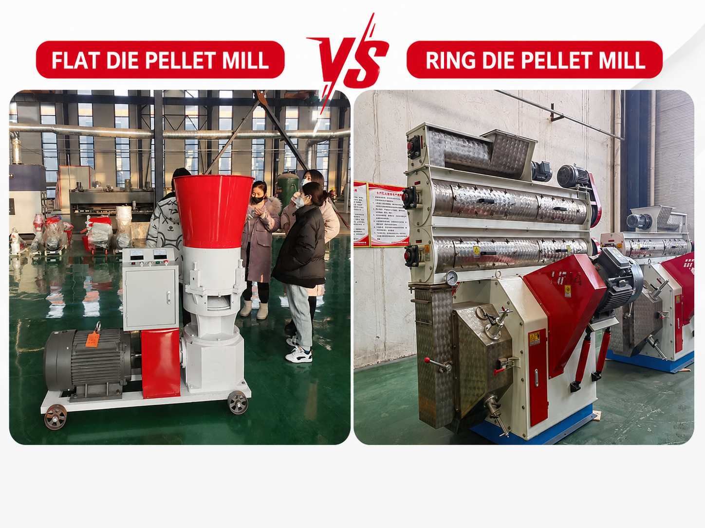 Ring die feed machine vs flat die feed machine