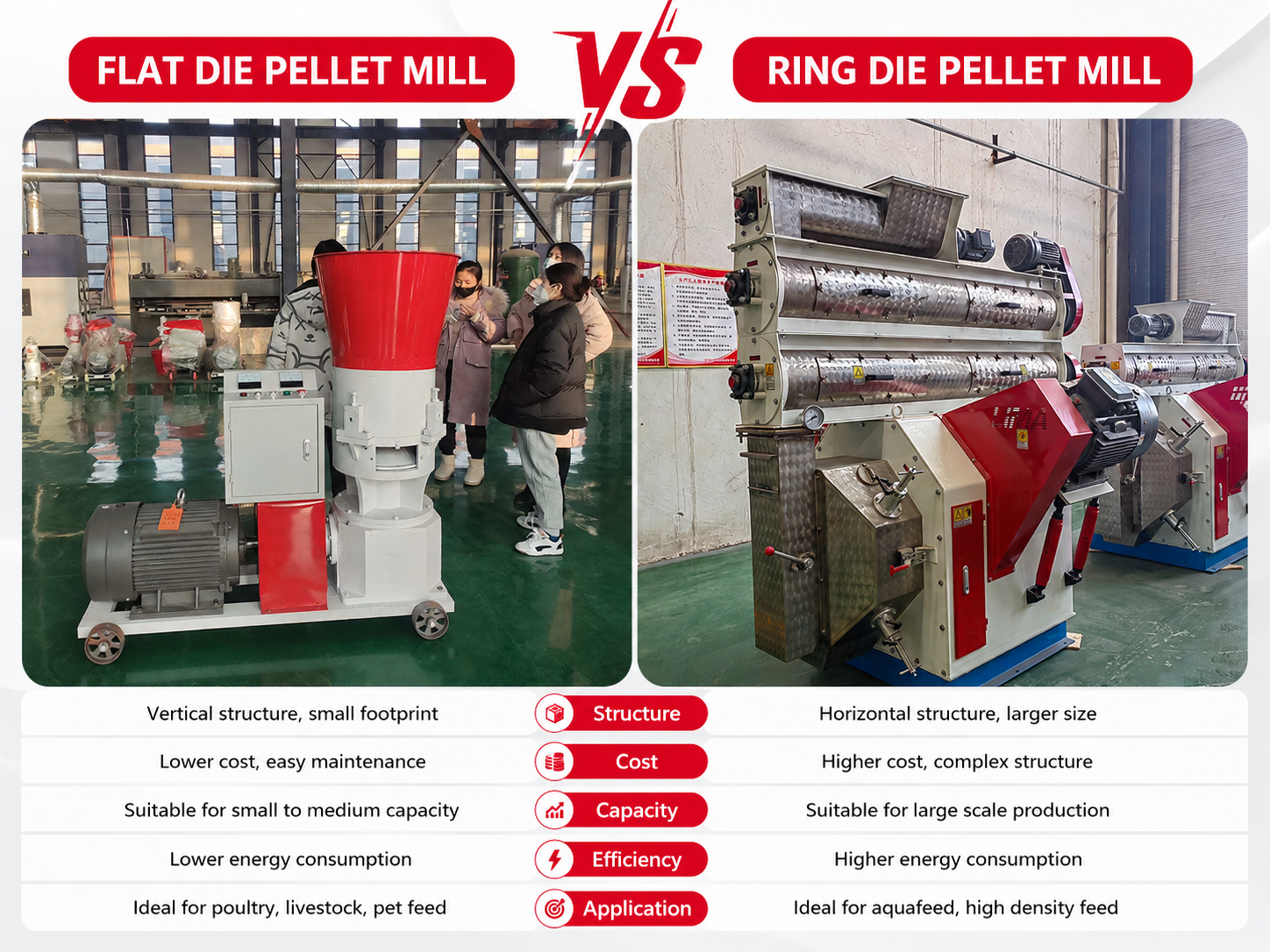 Ring Die vs Flat Die Pellet Machine Which is Better