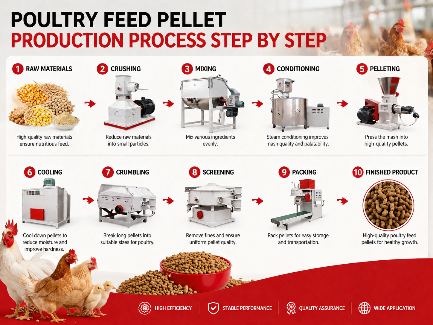 Complete Production Process for Poultry Pellet Feed