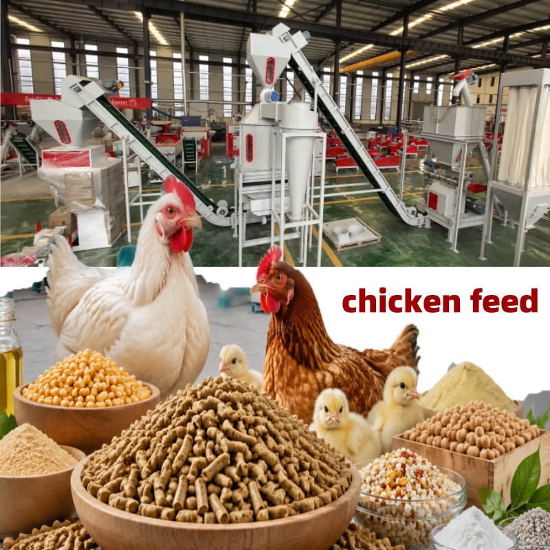 Complete Poultry Feed Formulation Guide