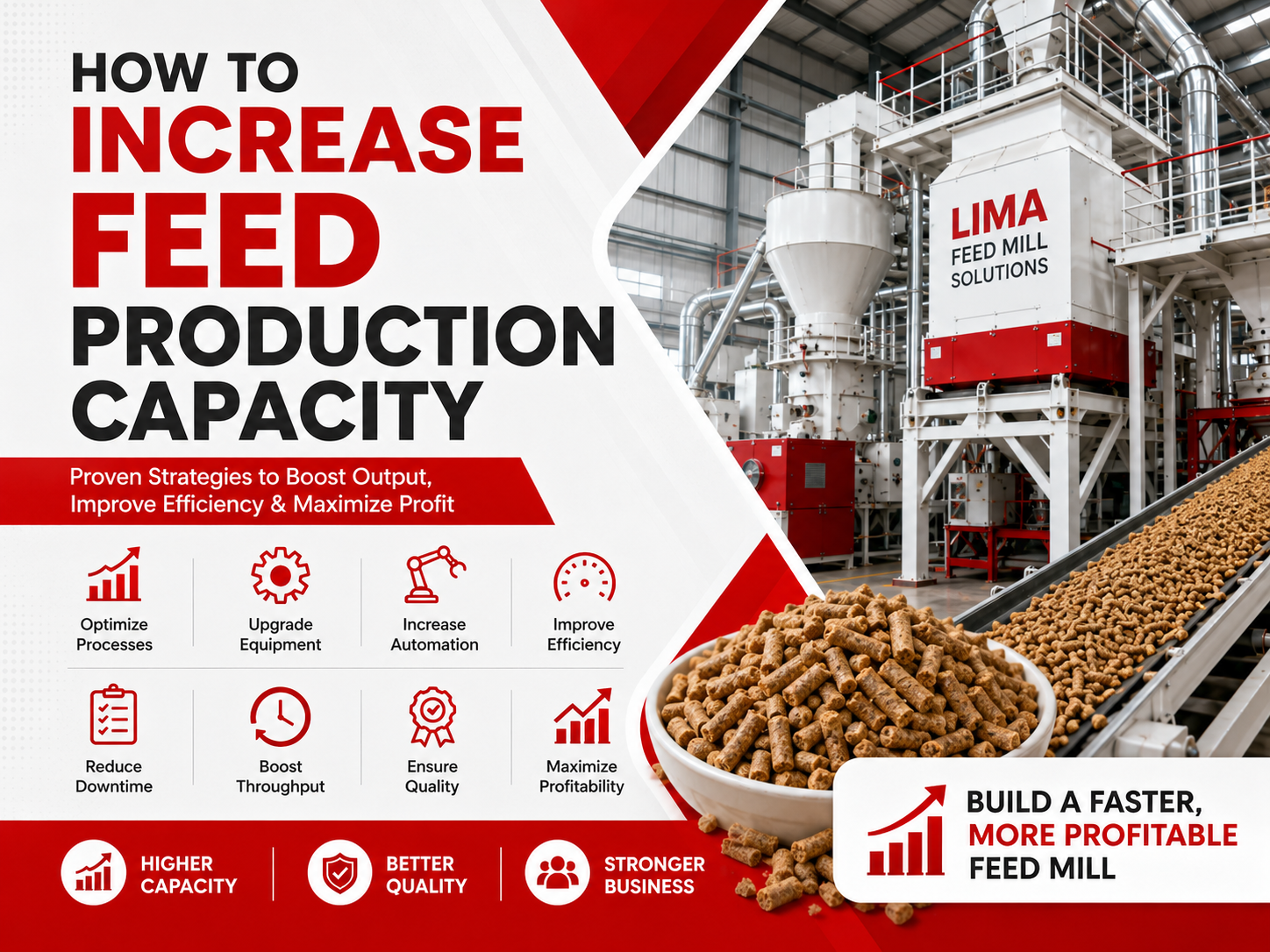 How to effectively improve feed production capacity
