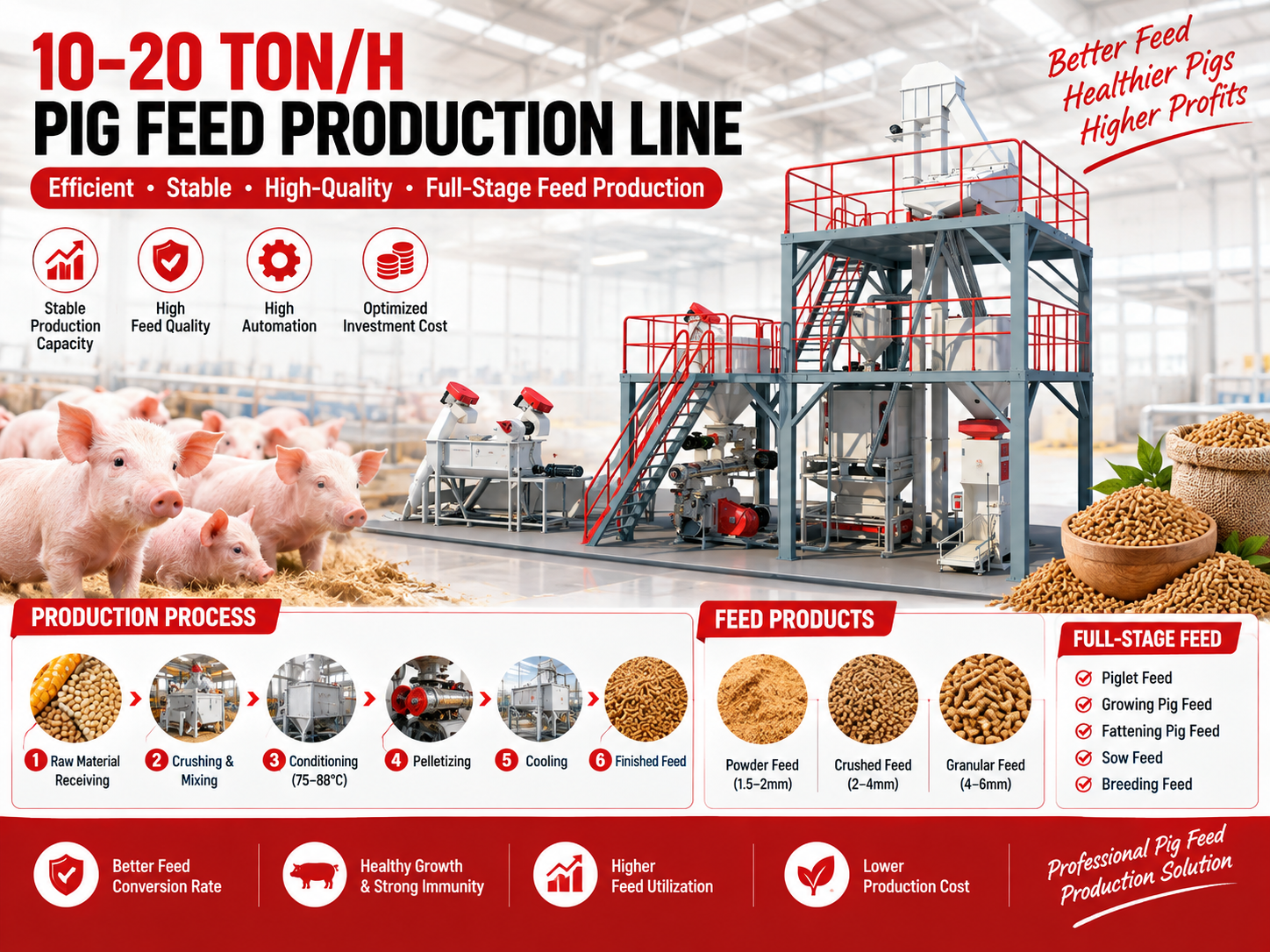 10-20 ton/h Pig Feed Production Line